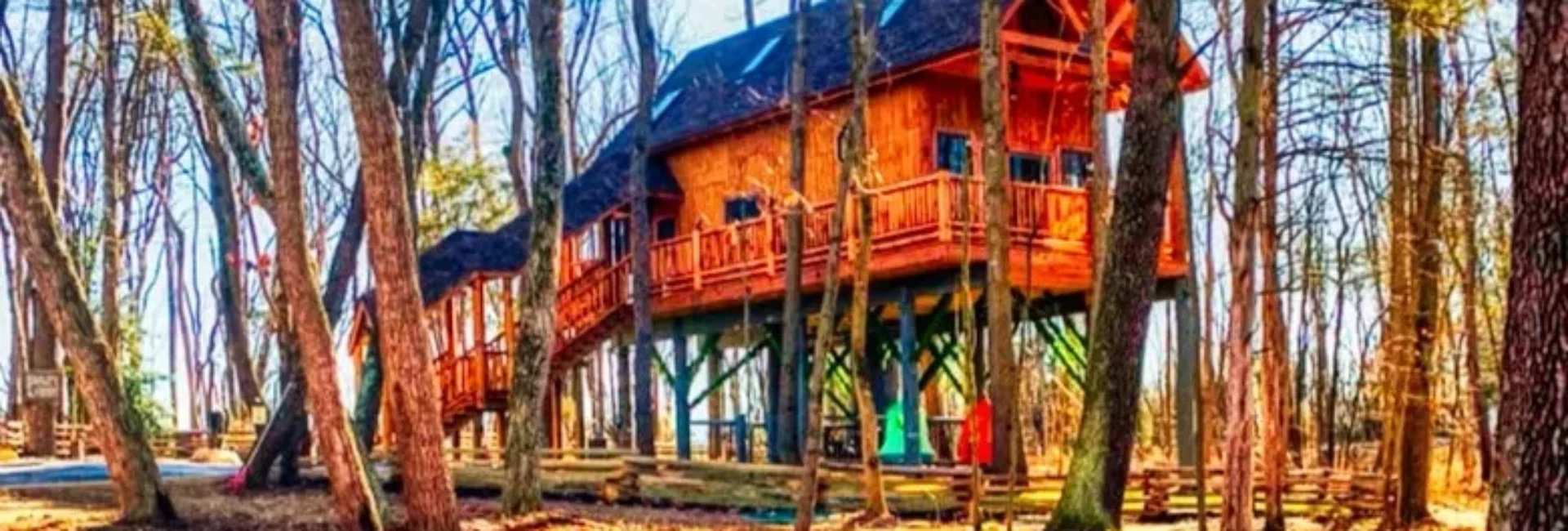 Eagles Nest Tree House
