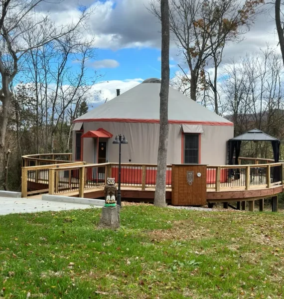 Hootie Owl Yurt