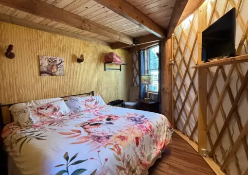 Hootie Owl Yurt