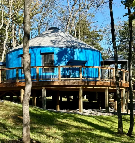 Rascally Rabbit Yurt