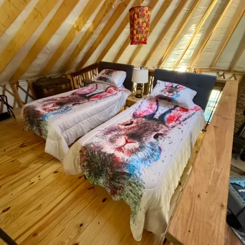 Rascally Rabbit Yurt