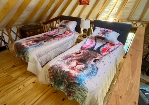 Rascally Rabbit Yurt