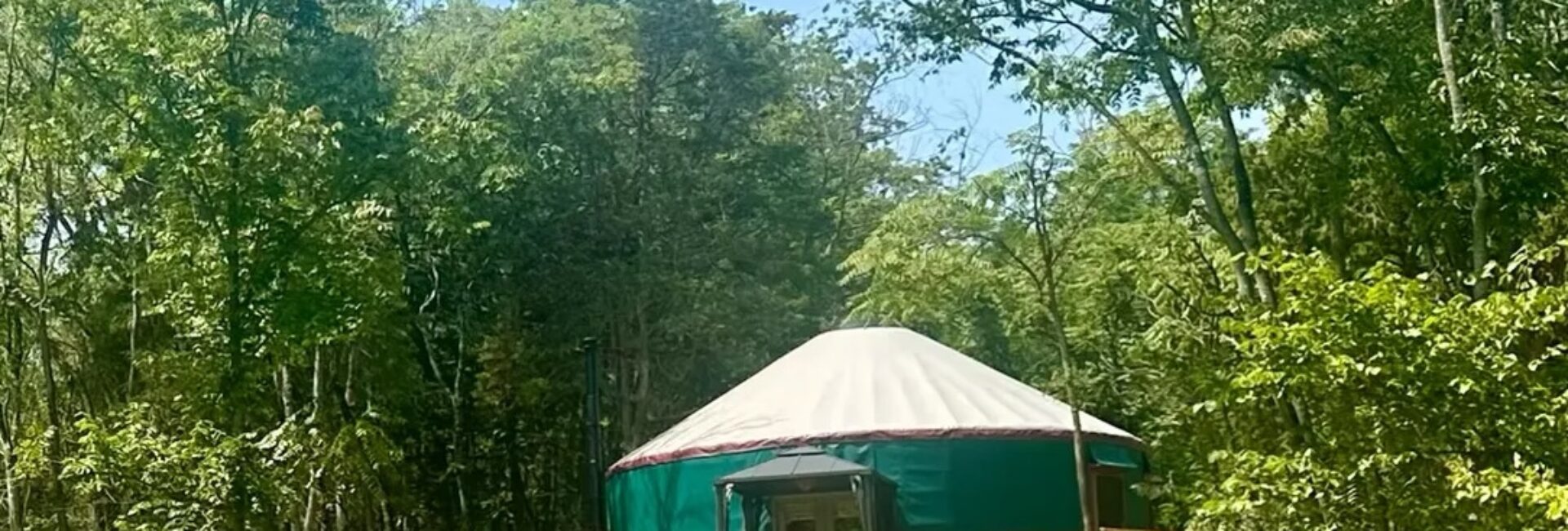 Granny Squirrel Yurt